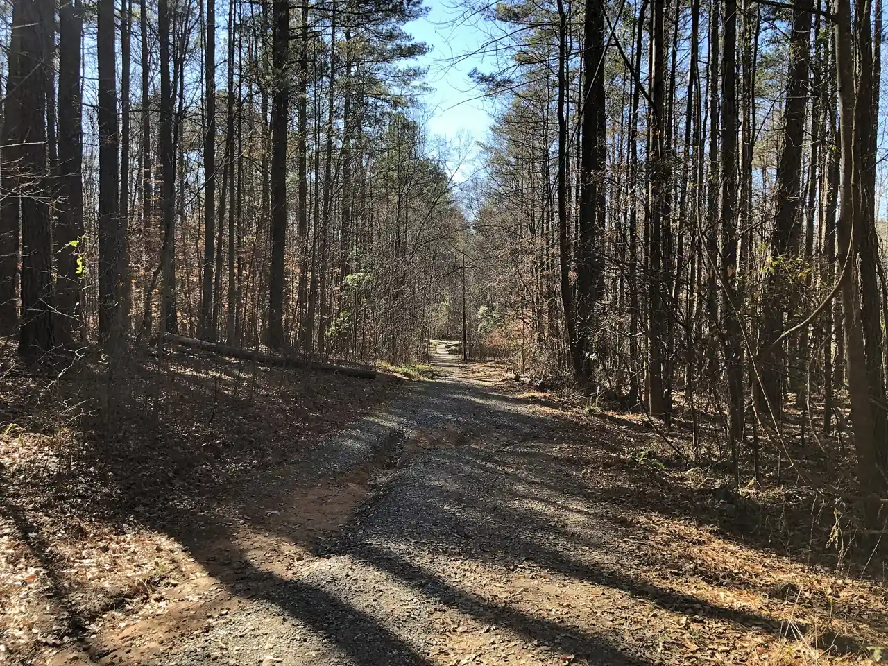 A trail in Autrey Mill Nature Preserve in Johns Creek