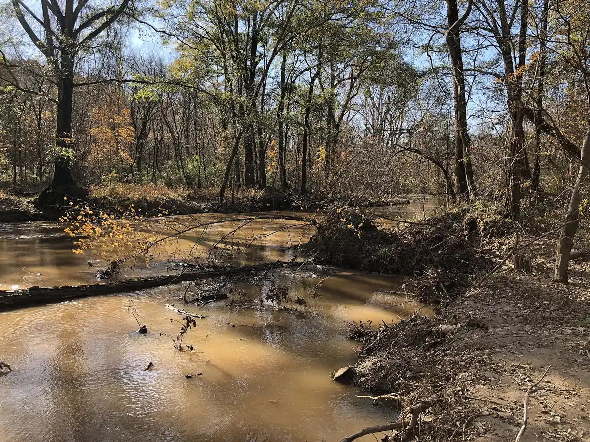 Big Creek in Alpharetta on Thanksgiving Day